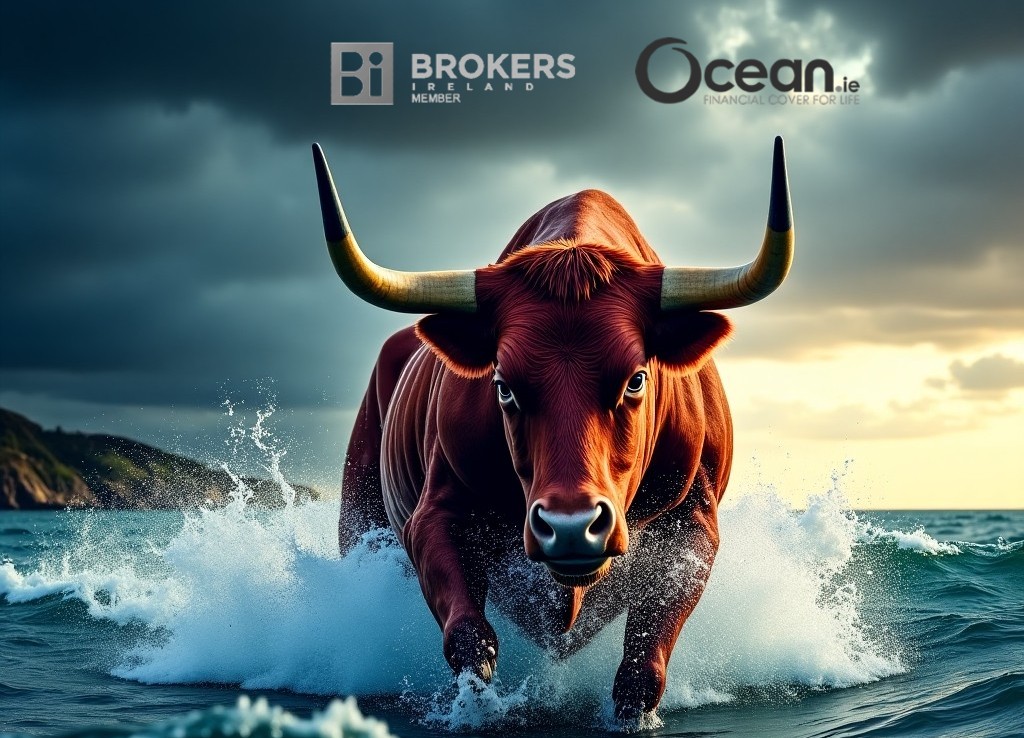 Aggressive Funds Bull